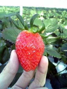 アキラボーイオフィシャルブログ「カキナグール」Powered by Ameba