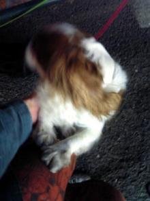 アキラボーイオフィシャルブログ「カキナグール」Powered by Ameba