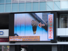 アキラボーイオフィシャルブログ