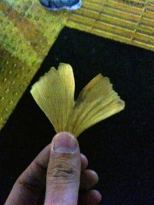 アキラボーイオフィシャルブログ