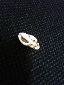 アキラボーイオフィシャルブログ