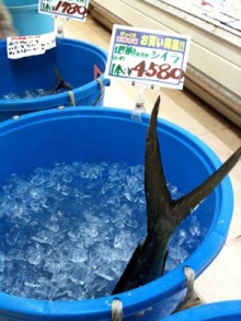 アキラボーイオフィシャルブログ