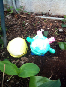 アキラボーイオフィシャルブログ