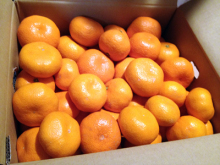 アキラボーイオフィシャルブログ