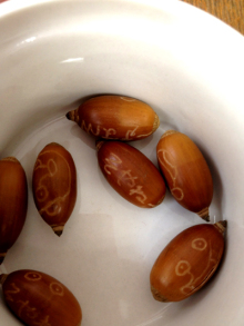 アキラボーイオフィシャルブログ