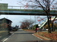 消費者教育講演会人気講師