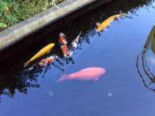 川島パーキングエリア
