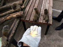 アキラボーイオフィシャルブログ