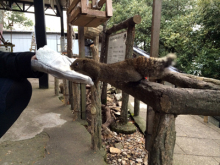 アキラボーイオフィシャルブログ