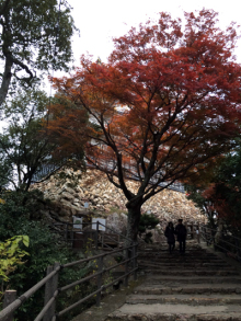 アキラボーイオフィシャルブログ