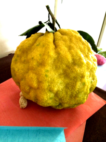 アキラボーイオフィシャルブログ