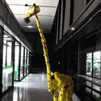 淳の休日 ナイトサファリ出演