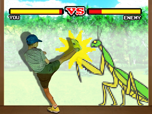 昆虫体験 カマキリファイト