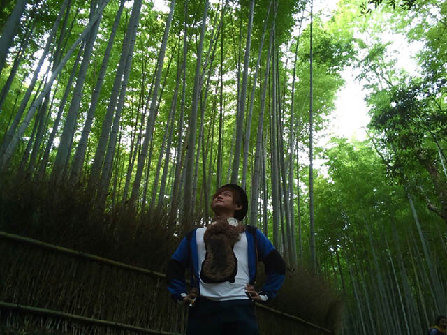 天龍寺 曹源池庭園の紅葉