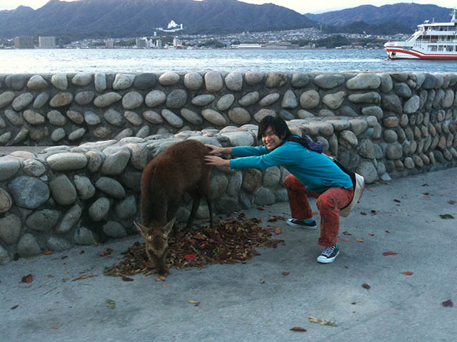 厳島神社 社殿と五重塔